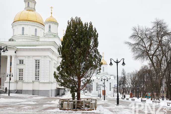 Для установки ели на Соборной площади в Пензе из бюджета выделят 130 тысяч рублей Для установки ели на Соборной площади в Пензе из бюджета выделят 130 тысяч рублей