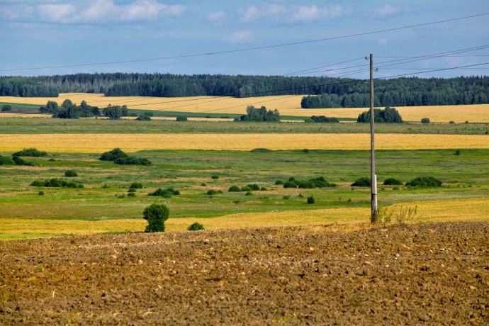 Сальдо призвал решить вопрос с подставными владельцами сельхозземель Сальдо призвал решить вопрос с подставными владельцами сельхозземель