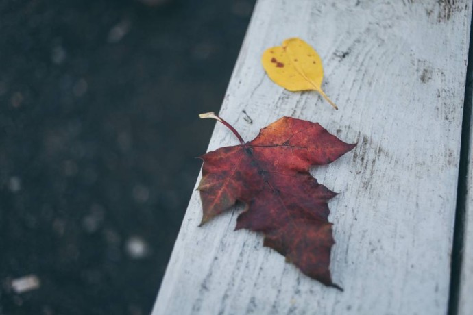 В Пермском крае ожидается потепление до +6 градусов В Пермском крае ожидается потепление до +6 градусов