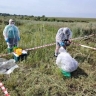 Старые скотомогильники ликвидируют в Приамурье