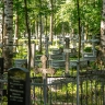С могилы на Северном кладбище в Парголово украли очередной барельеф