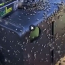 Дикое нашествие мошки началось на Нижней Волге 