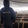 За праздничные дни полиция Мордовии выявила более 30 иностранных граждан, которых затем выдворили с территории РФ
