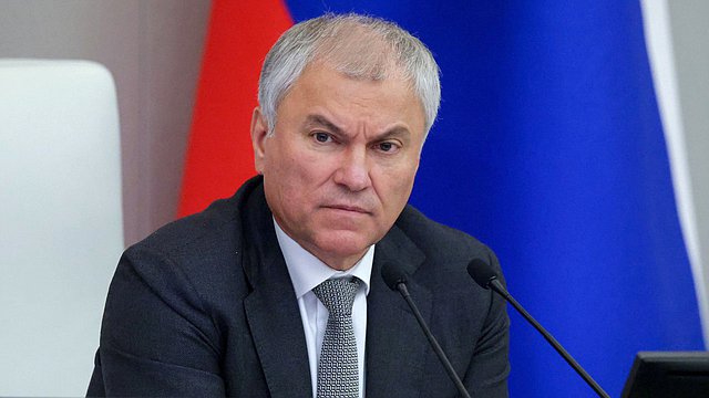 Вячеслав Володин рассказал, как работает режим высылки для мигрантов, введенный федеральным законом