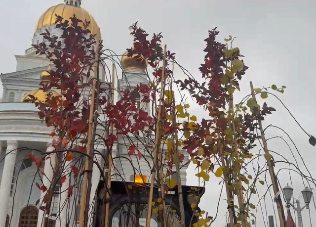 В Саранске высадят более 300 молодых саженцев на бульваре возле Кафедрального собора Ушакова