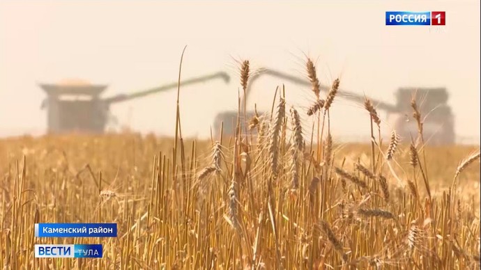 Россельхознадзор забраковал почти 1000 тонн зерна в Ефремовском районе Россельхознадзор забраковал почти 1000 тонн зерна в Ефремовском районе