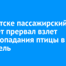 В Иркутске пассажирский самолет прервал взлет из-за попадания птицы в двигатель