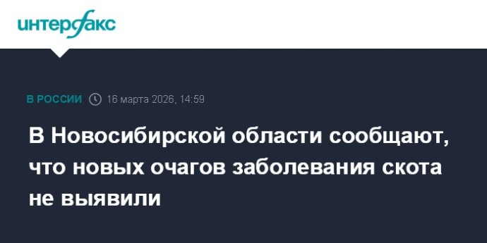 В Новосибирской области сообщают, что новых очагов заболевания скота не выявили