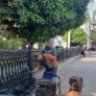 Душ для ограждения: в Астрахани приступили к уборке Нового моста