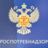 Пензенцев зовут в суд: Роспотребнадзор готовит иск из-за скандального концерта Славы