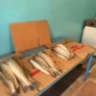 В Астрахани в торговых точках супругов торговали «левой» табачной продукцией