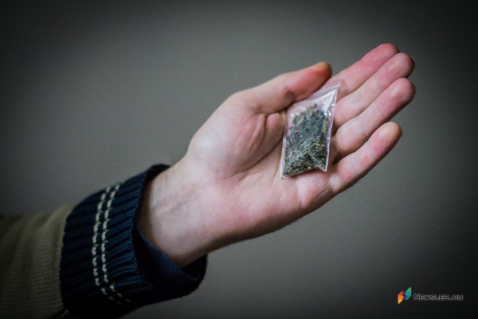 Жителя Тужинского района осудили за хранение дикорастущей конопли