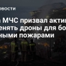 Глава МЧС призвал активно применять дроны для борьбы с лесными пожарами