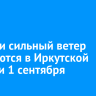 Ливни и сильный ветер ожидаются в Иркутской области 1 сентября