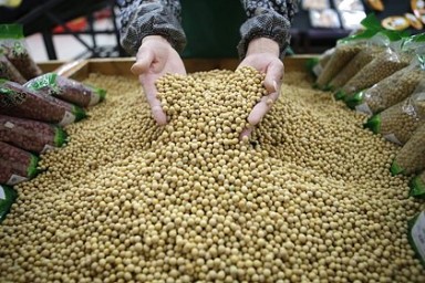 Китай на фоне торговой войны с США закупился одним продуктом в Бразилии