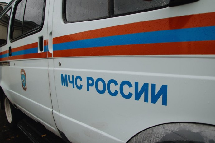В Пензенской области пламя уничтожило садовый дом