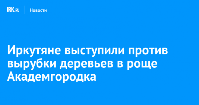Иркутяне выступили против вырубки деревьев в роще Академгородка