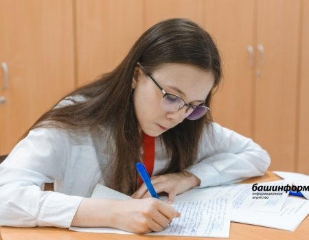 Школьные олимпиады по новым правилам: что надо знать ученикам и родителям