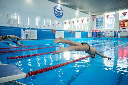 Более 160 спортсменов и тренеров Благовещенска получили премии за успехи