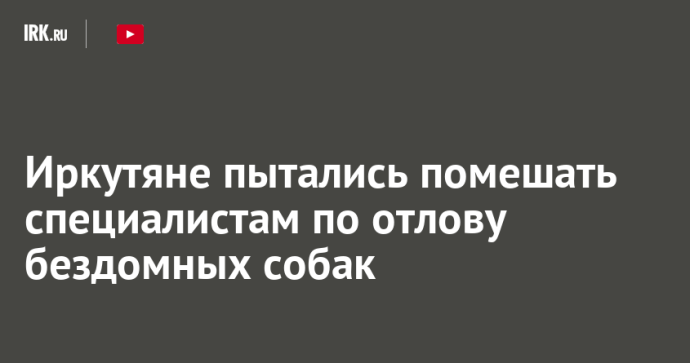 Иркутяне пытались помешать специалистам по отлову бездомных собак