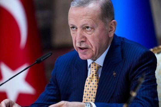 Эрдоган призвал приложить все дипломатические усилия для урегулирования на Украине