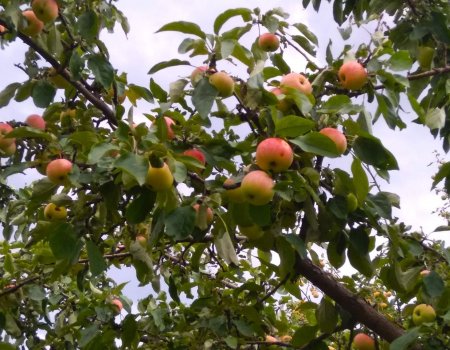 Когда же прекратятся дожди в Башкирии? Когда же прекратятся дожди в Башкирии?