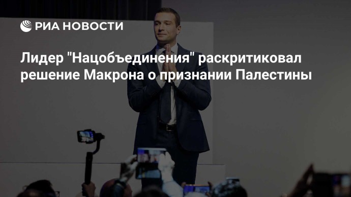 Лидер "Нацобъединения" раскритиковал решение Макрона о признании Палестины