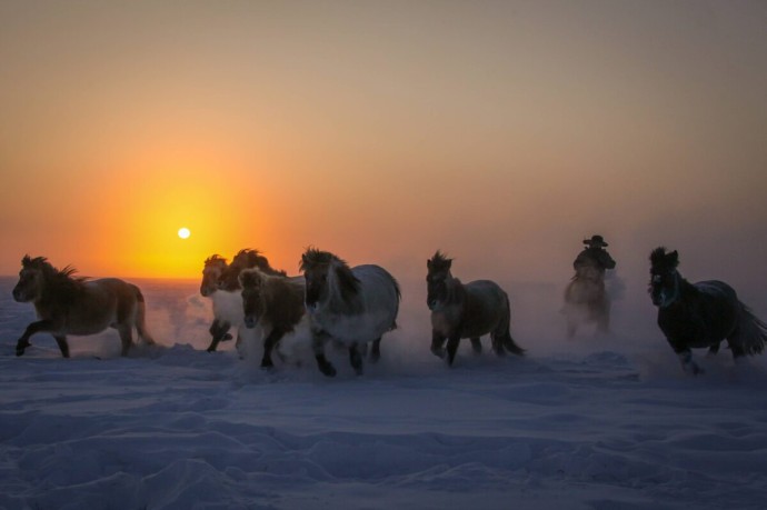 Каким будет 2026 год для знаков восточного календаря