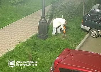 Благовещенка выкопала деревья в сквере Кузнецова