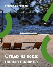 В Санкт-Петербурге разработаны правила использования водных объектов для рекреационных целей