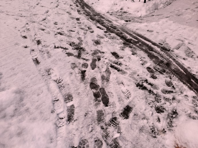 Метеоролог Позднякова: Снег в Москве может не лечь до конца декабря Метеоролог Позднякова: Снег в Москве может не лечь до конца декабря