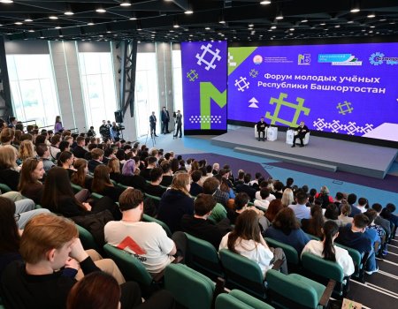 Радию Хабирову предложили создать единое IT-сообщество Башкирии