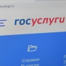 В Госдуме предложили создать экосистему для родителей на "Госуслугах"