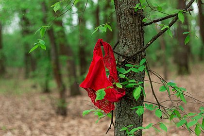 В лесных зонах отдыха Финляндии нашли секс-игрушки и нижнее белье