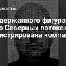 На задержанного фигуранта дела о Северных потоках зарегистрирована компания