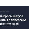 Новые выбросы мазута обнаружили на побережье Краснодарского края