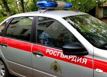 В Мордовии за неделю экипажи Росгвардии 64 раза выезжали по сигналу "Тревога"