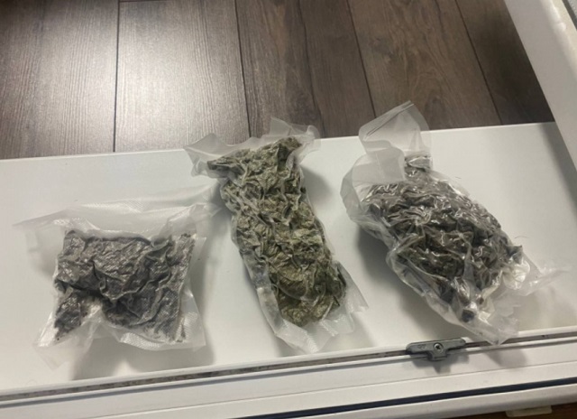 Около 200 граммов марихуаны изъяли у жителя Саранска с помощью служебной собаки Около 200 граммов марихуаны изъяли у жителя Саранска с помощью служебной собаки