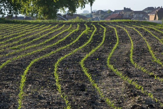 Бойцы сохранят право на арендованные участки земли во время пребывания на СВО Бойцы сохранят право на арендованные участки земли во время пребывания на СВО