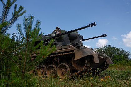В ВСУ обнаружили недостатки почти у всей техники из Германии
