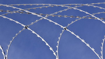 Фигуранты дела о хищении европейских железнодорожных грузов получили до 9 лет