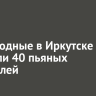 За выходные в Иркутске выявили 40 пьяных водителей