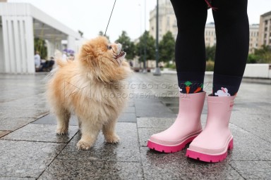 Синоптик Цыганков: Циклон принесет в Москву дожди и сильный ветер в конце недели