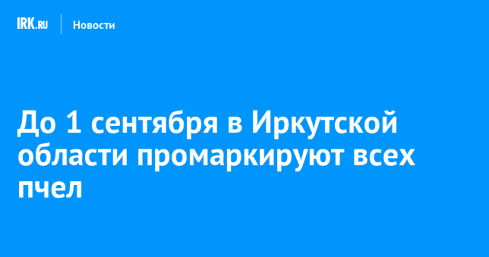 До 1 сентября в Иркутской области промаркируют всех пчел