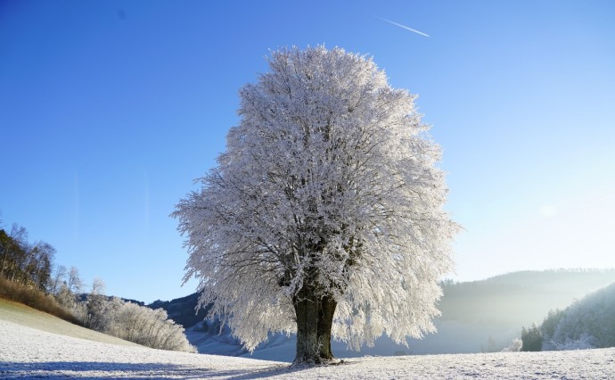 Воздух на юге Сахалина прогреется до +4 градусов