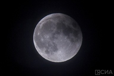 Цветочная Луна: каким знакам зодиака повезет в полнолуние 12 мая 2025