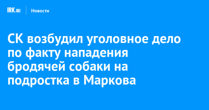 СК возбудил уголовное дело по факту нападения бродячей собаки на подростка в Маркова