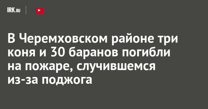 В Черемховском районе три коня и 30 баранов погибли на пожаре, случившемся из-за поджога