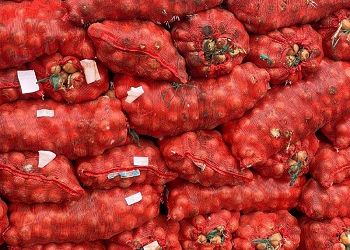 В Приамурье из Казахстана привезли 1,2 тысячи тонн лука