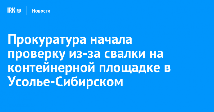 Прокуратура начала проверку из-за свалки на контейнерной площадке в Усолье-Сибирском